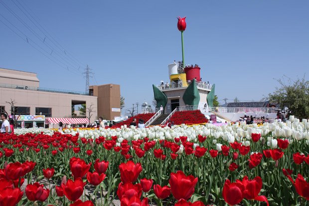 フェアのシンボル、チューリップタワー（提供・砺波市花と緑と文化の財団）※写真は今年のものではありません