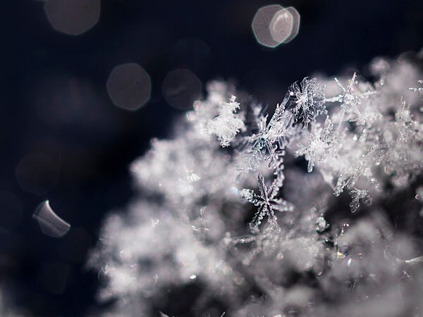 自然美が凝縮された雪の結晶