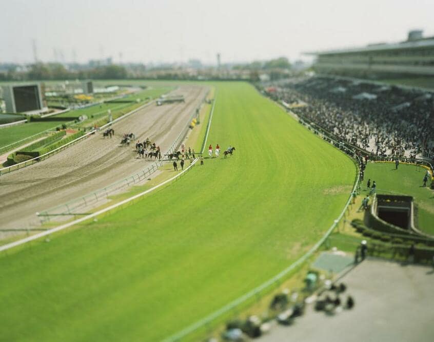 small planet/Nakayama Racecourse/Chiba, Japan/2005(撮影:本城直季)