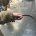アルコール依存症の母に包丁で刺されそうに…30代女性「私はコメディとホラーの中間を生きている」