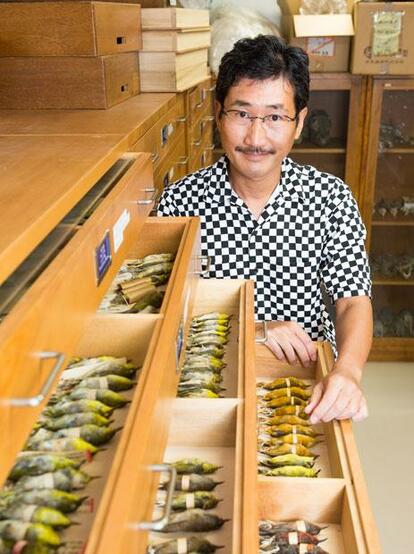 森林総合研究所 主任研究員 川上和人さん(46)/1973年生まれ。東京大学大学院農学生命科学研究科を中退して、森林総合研究所(茨城県)の研究員に。著書に『鳥類学者だからって、鳥が好きだと思うなよ。』など。写真は勤め先の森林総研の標本室で。研究者たちが100年以上かけて集めてきた標本のなかには、川上さんの研究に関わる鳥「メグロ」のものも並んでいた(撮影/写真部・小黒冴夏)