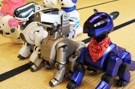 人気 aibo 死な ない ペット