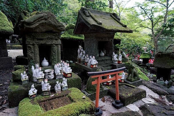 等倍鑑賞では空中のクモの糸までバッチリ写す中央付近の解像感だ。ボケ味や基本的な描写の傾向などはマスターレンズである28mmに準じるが、周辺のボケには粗さが少々出ている●α7II・絞り優先（絞りf5.6・60分の1秒）・ISO1250・AWB・JPEG