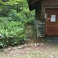 〈クマ被害相次ぐ〉キャンプ場でクマに襲われた女性が告白「死を覚悟した」 経験から得られる教訓を生かすには