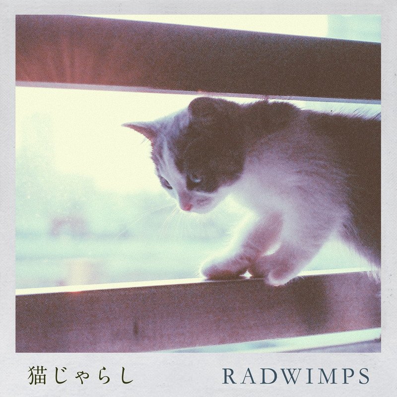 【ビルボード】RADWIMPS「猫じゃらし」がDLソング首位獲得、Official髭男dism「パラボラ」が2位に続く