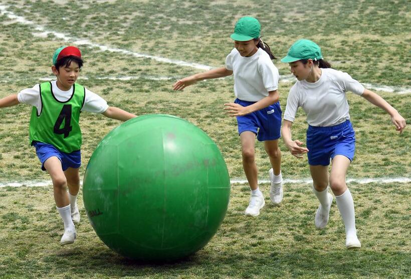 2018年5月お茶の水女子大学付属小学校の運動会で「大玉おくり」の競技に参加する悠仁さま