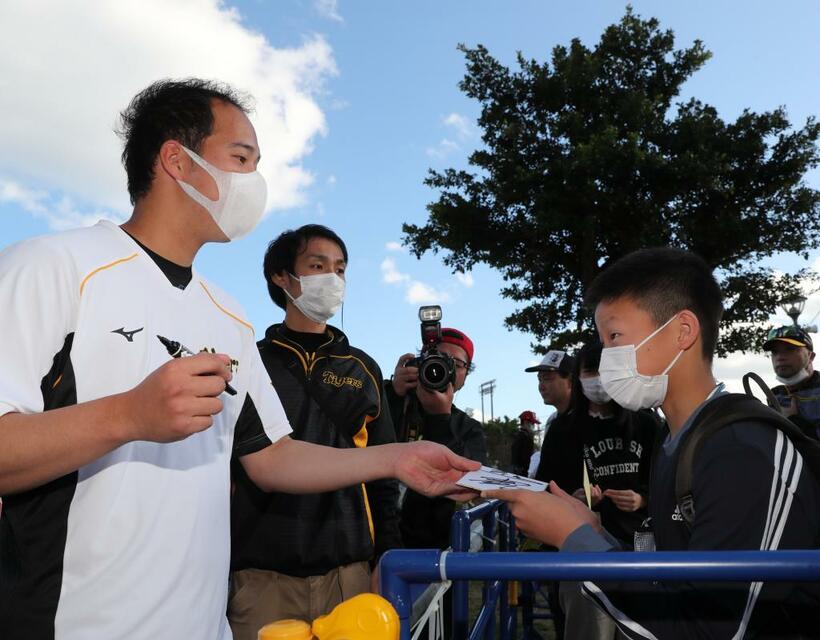 昨年２月のキャンプでマスクをしてサインを書く阪神の青柳。今年もコロナ対策が続く＝沖縄県宜野座村　（ｃ）朝日新聞社