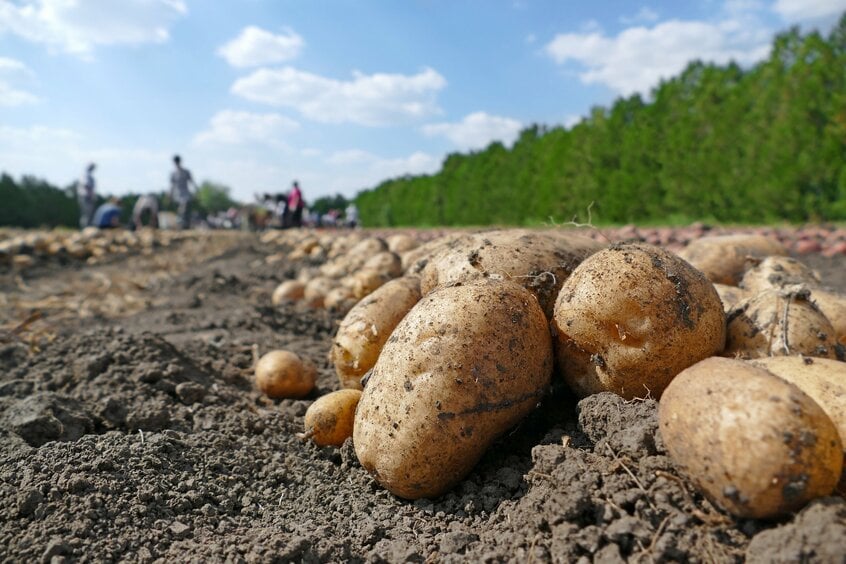 ※写真はイメージです（Getty Images）
