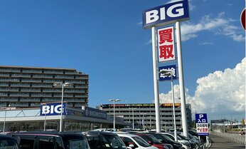 河村たかし名古屋市長は怒りあらわ「刑事告発します」 ビッグモーターの芝生引きはがし