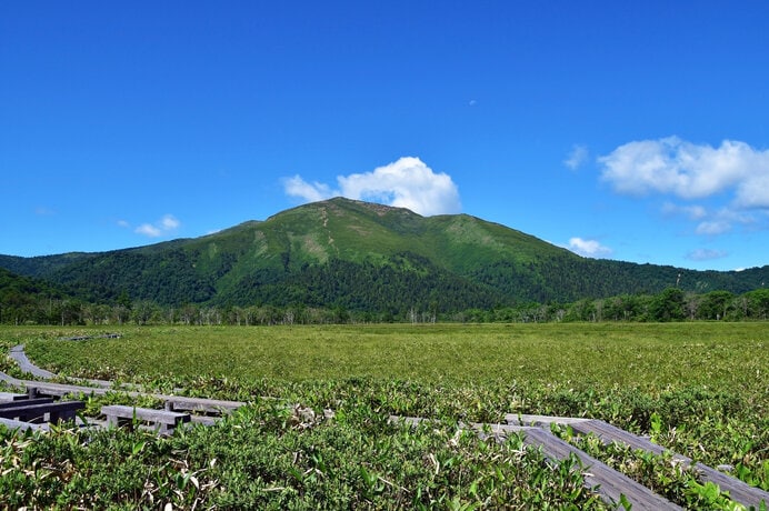 尾瀬の自然と高山植物を楽しめる百名山