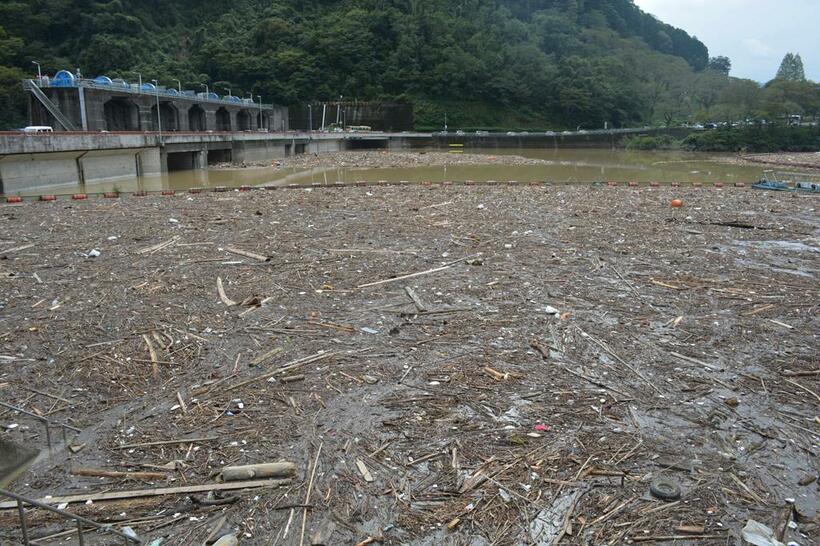 相模川の城山ダム上流の津久井湖。ここで大量の流木がせき止められた（Ｃ）朝日新聞社