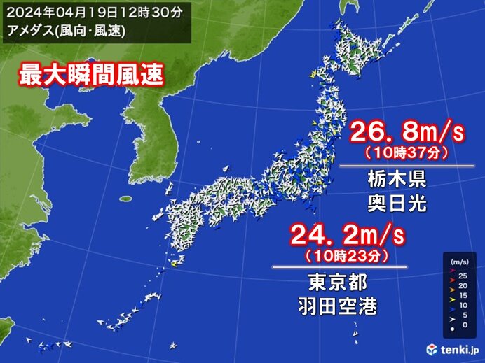 関東や東北太平洋側で強風 羽田空港で最大瞬間風速24.2メートル 夕方 