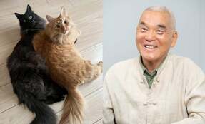 岩合光昭×ねこまきが語り尽くすネコ愛「裏切られても愛さなきゃ」