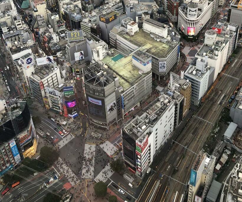 １１月１日、駅の直上にオープンした／「渋谷スクランブルスクエア」の展望施設から見下ろしたスクランブル交差点。人が豆粒のように小さい　（撮影／首藤由之）