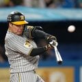 下位低迷の西武、中日に必要なFA補強 阪神・大山、坂本らが宣言したら争奪戦で「本気度示すべき」