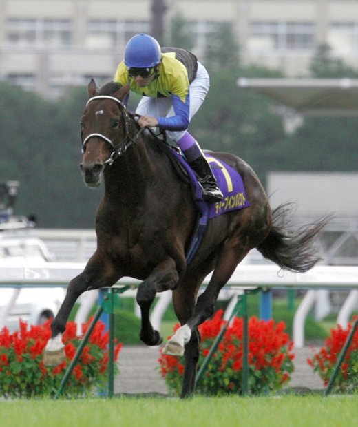 種牡馬となり莫大なお金を生み出しているディープインパクト　（ｃ）朝日新聞社