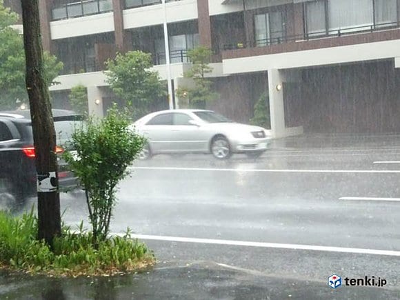 札幌中心部の雨の様子（16日)　撮影：日本気象協会　住友　静恵