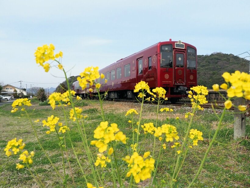 平成筑豊鉄道「ことこと列車」：「ことこと列車」は直行すれば１時間半ほどの距離を３時間超かけて運行する（写真：櫻井　寛）