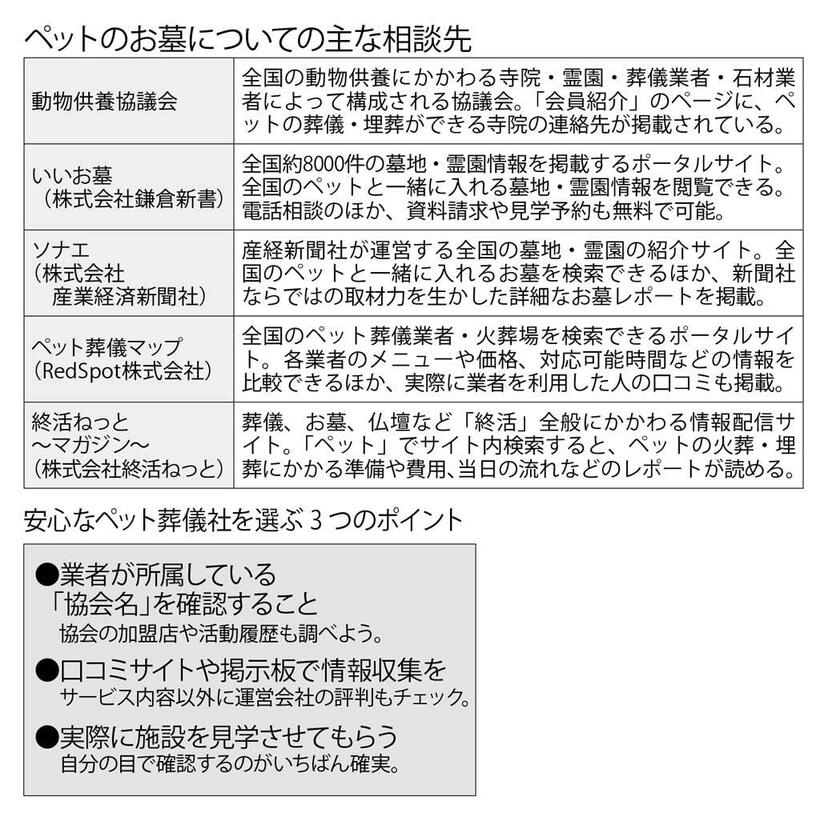 ペットのお墓についての主な相談先（上）／安心なペット葬儀社を選ぶ３つのポイント　（週刊朝日２０１９年６月２８日号より）　