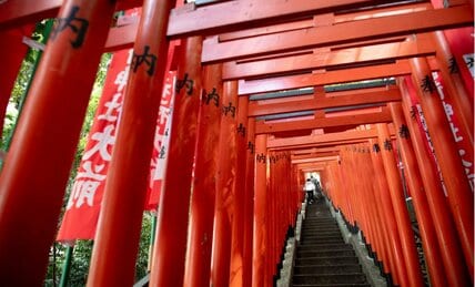 おみくじ箱を「おもちゃ」に、鳥居でダンス…インバウンド客の「不敬行為」に悩む神社の本音〈オーバーツーリズムを考える〉