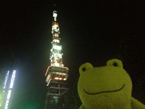 夜の東京タワーとカエル。撮影時、臨場感を出すためタオルやマスキングテープも持ち歩く（写真：ウナギトラベル提供）