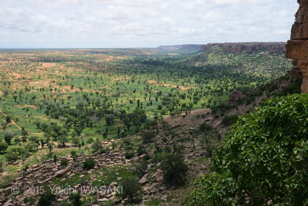 バンディアガラの断崖を下り始めててまもなく、ティレリの家並みが眼下に広がった。　ティレリ・マリ　2014年／Tireli,Mali 2014