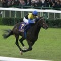 〈G1マイルチャンピオンシップきょう〉ディープインパクト、サイレンススズカ…「平成の最強馬」はどの馬だ?<牡馬編>
