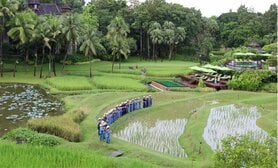 〈夏休みシーズン〉タイの古都チェンマイの農村で暮らすように過ごし、田植えと藍染体験で文化のつながりを感じる【親子の学び旅体験ルポ】