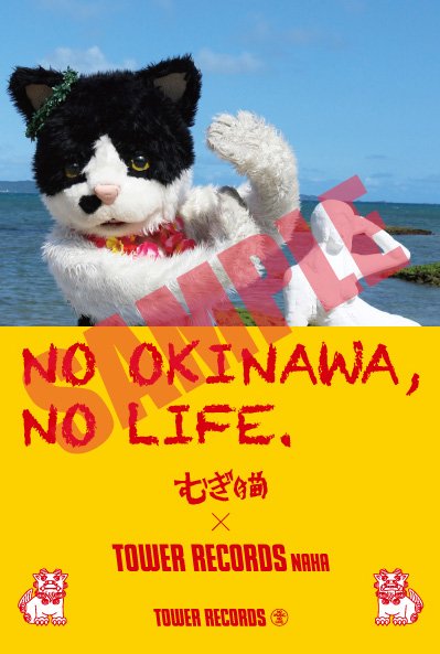 むぎ（猫）の特番が生配信＆「NO OKINAWA, NO LIFE.」ポスターに登場