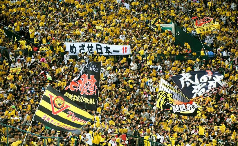 熱狂的なファンで盛り上がる甲子園のスタンドの様子　（ｃ）朝日新聞社