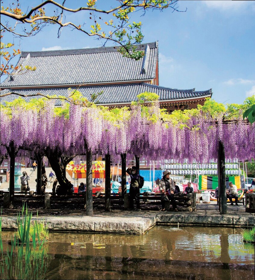 【總持寺（西新井大師）】江戸時代、毎月21日の縁日には、弘法大師像がご開帳になり、各地から参拝者が押し寄せた。いまも境内は、週末はもちろん平日も、多くの参拝者でにぎわう