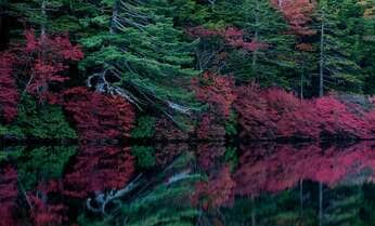 紅葉シーズン到来! 見れば必ず撮りたくなる、長野県の美しすぎる「水鏡」10選