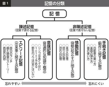 2ページ目)「記事を読んでもすぐ忘れる」は大正解！ 脳専門医による「忘却こそが新たな記憶の獲得法」の真意 | AERA dot. (アエラドット)