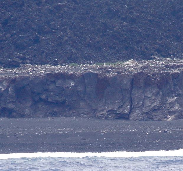 わずかに残った旧島のテラスのようになった岩にはアオツラカツオドリやカツオドリの姿が(撮影:5月31日 有川美紀子)