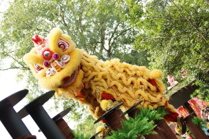 春節イベントでも大人気の中国獅子舞