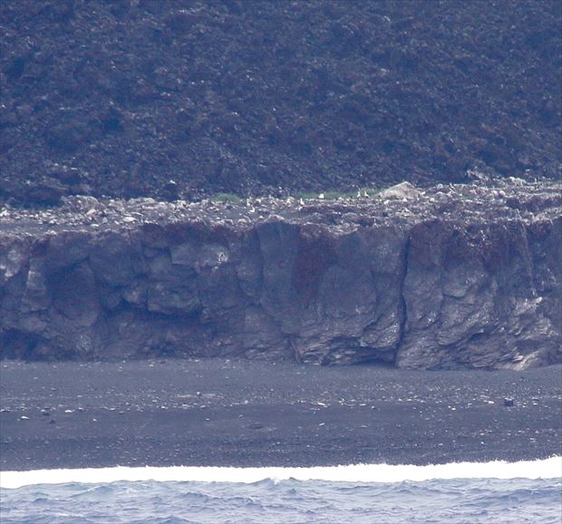 わずかに残った旧島のテラスのようになった岩にはアオツラカツオドリやカツオドリの姿が（撮影：5月31日　有川美紀子）