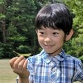 1歳からトンボに夢中の悠仁さまが可愛い! 大きな捕り網をブンブンふり回す、小さな「生物学者」