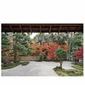千年の時を超えて美しい!この紅葉を紫式部もきっと眺めた「源氏物語の舞台×紅葉」4選