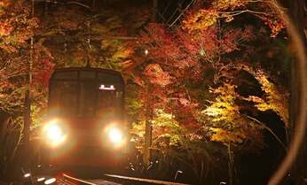西日本を走る「紅葉絶景路線」で観光列車も満喫!