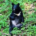 クマは「明らかに顔を狙って攻撃」「骨もボロボロ」と医師たちが証言 「命に別状はない」の実態