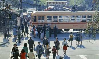 上野「不忍池」を走った50年前の路面電車 鮮やかに写す貴重なカラーポジは当時いくら?