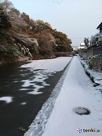 １５日　姫路城のお堀のようす　一部、凍結していました