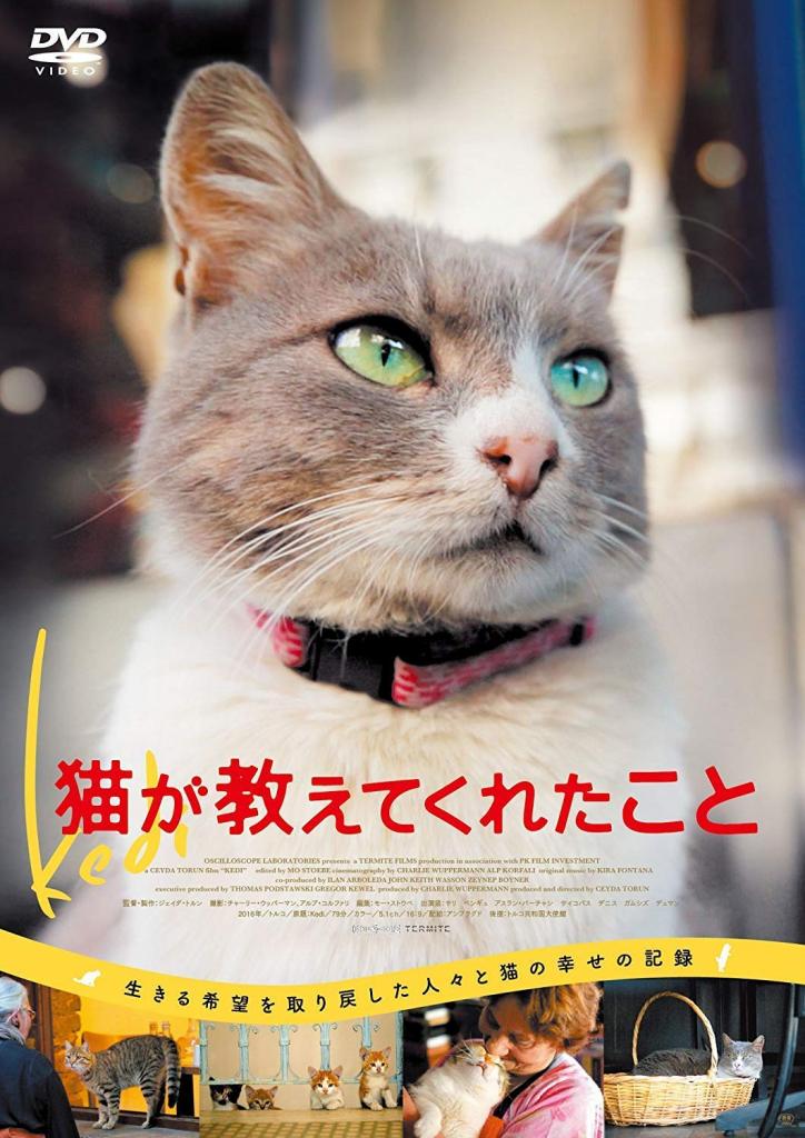 「猫が教えてくれたこと」発売元:アンプラグド、販売元:ポニーキャニオン、価格3800円+税/DVD発売中 (c)2016 Nine Cats LLC