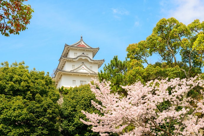 桜と城の共演、日本100名城の「明石城」