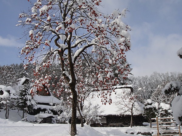 家々の屋根や、木の枝に積もる雪に、昔の人は何を思ったでしょう