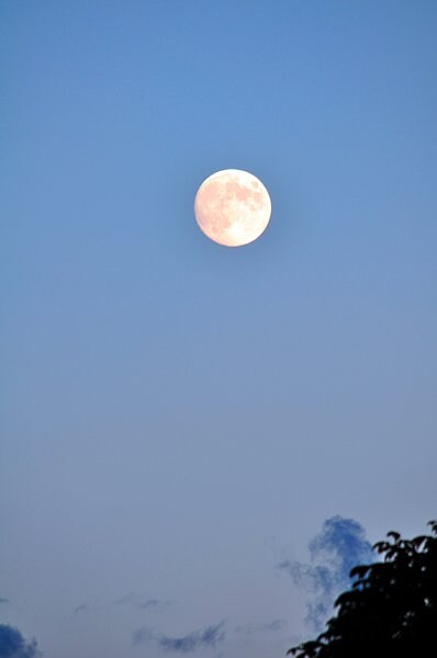 夕暮れ時、東に見える月は満月。