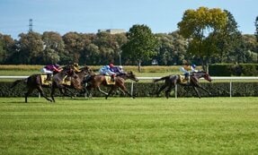 日本馬はG1制覇も故障で引退も…「無敗の名馬」色褪せぬ輝き！海外で奇跡的な強さ誇った馬は