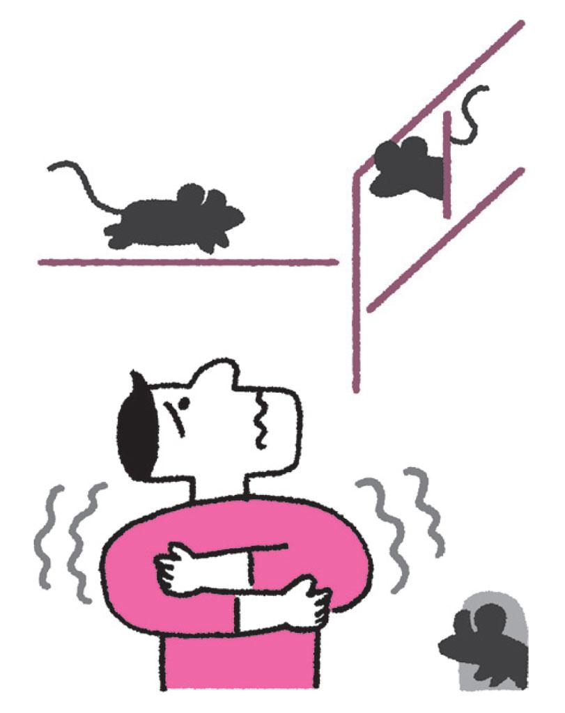 イラスト:飛田冬子