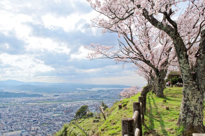 久松山に築かれた山城「鳥取城」は、見晴らしの良い桜の名所