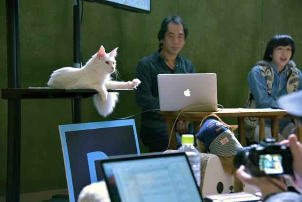 講座はフリーダムな猫たち囲まれて進行。「そこの君 何か質問かにゃ？」といった場面も